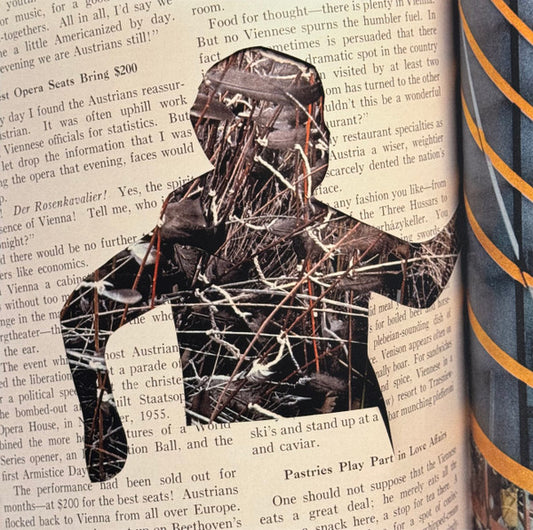 CS + Kreme : The Butterfly Drinks The Tears Of The Tortoise (LP, Album, Ltd)