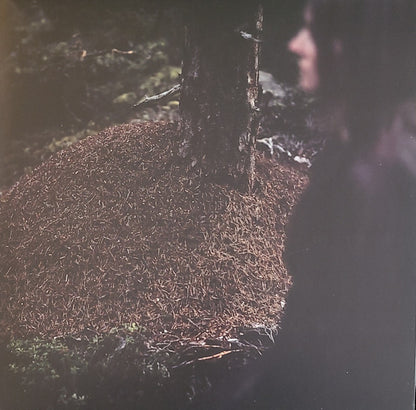 Wardruna : Birna (2xLP, Album, Ltd, Ora)