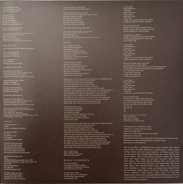 Big Thief : Capacity (LP, Album, RE)