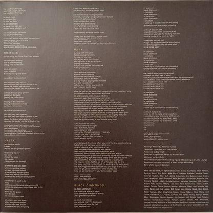 Big Thief : Capacity (LP, Album, RE)