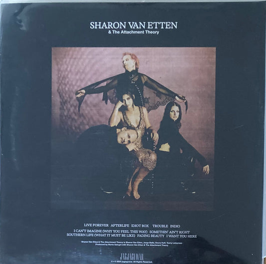 Sharon Van Etten & The Attachment Theory : Sharon Van Etten & The Attachment Theory (LP, Album)