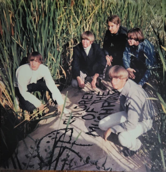 Children Of The Mushroom : Children Of The Mushroom (LP, RE)