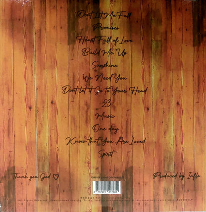 Cleo Sol : Mother (2xLP, Album, RP, Gat)