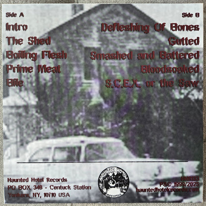 Bile (2) : The Shed (LP)