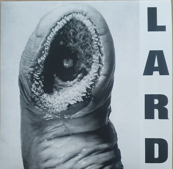 Lard : Power Of Lard EP (12", EP, RE, RM, Whi)