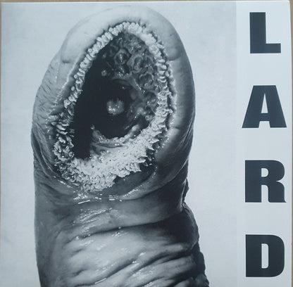 Lard : Power Of Lard EP (12", EP, RE, RM, Whi)