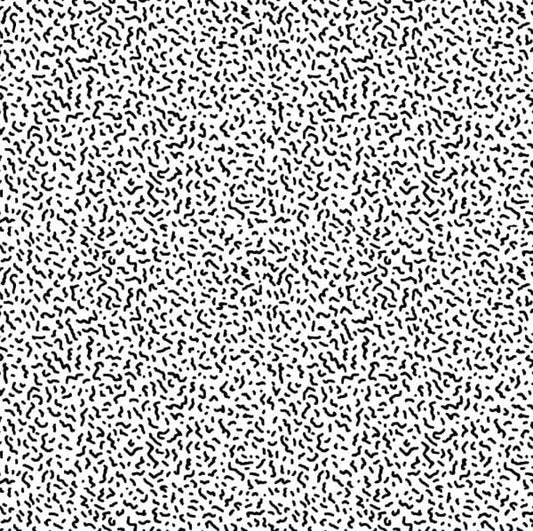 White Car (3) : Everyday Grace (LP, Album)