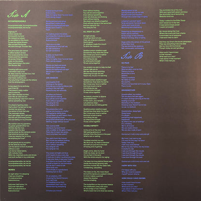 Big Thief : Double Infinity (LP, Album)