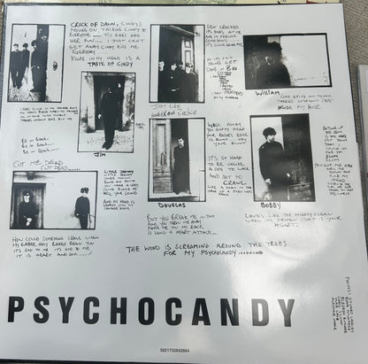 The Jesus And Mary Chain : Psychocandy (LP, RE, RM, 40t)