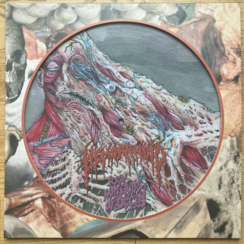Hemorrhoid (2) : Raw Materials Of Decay (LP, Album, Ltd, Pic)