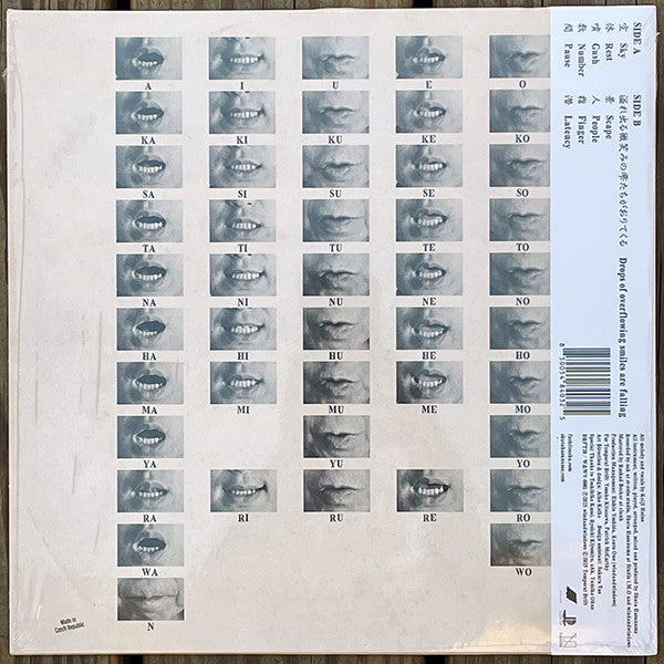 Keiji Haino + Shuta Hasunuma : U　　　　　　　TA (LP, Album)