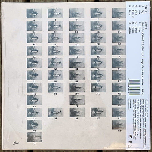 Keiji Haino + Shuta Hasunuma : U　　　　　　　TA (LP, Album)