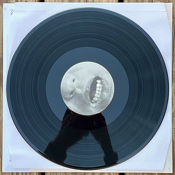 Keiji Haino + Shuta Hasunuma : U　　　　　　　TA (LP, Album)