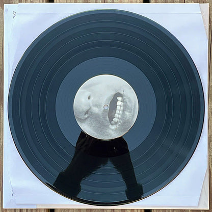 Keiji Haino + Shuta Hasunuma : U　　　　　　　TA (LP, Album)