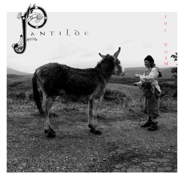 The Worm (7) : Pantilde (LP, Album)
