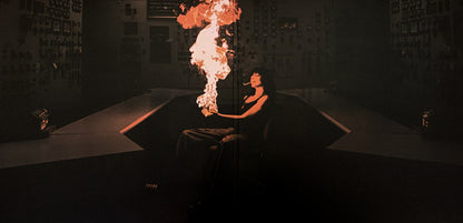 Jane Remover : Revengeseekerz (LP + LP, S/Sided + Album, Ora)