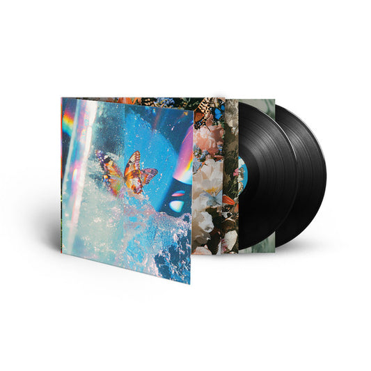 Daphni : Butterfly (2xLP, Album)