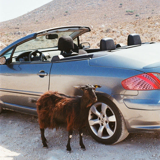 Exek : Prove The Mountains Move (LP)