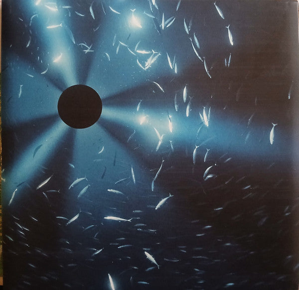 Laurel Halo : Midnight Zone (Original Soundtrack To The Film By Julian Charrière) (LP, Album)