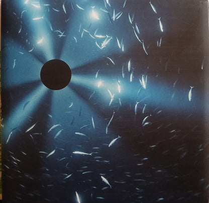 Laurel Halo : Midnight Zone (Original Soundtrack To The Film By Julian Charrière) (LP, Album)