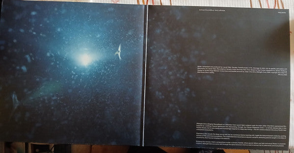 Laurel Halo : Midnight Zone (Original Soundtrack To The Film By Julian Charrière) (LP, Album)