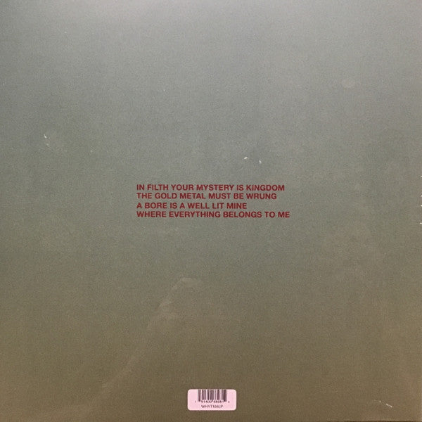 Dagmar Zuniga : In Filth Your Mystery Is Kingdom / Far-Smile Peasant In Yellow Music (LP, Album)