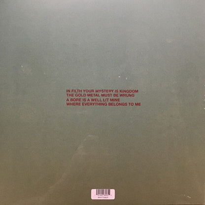 Dagmar Zuniga : In Filth Your Mystery Is Kingdom / Far-Smile Peasant In Yellow Music (LP, Album)