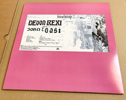 Devon Rexi Meets  John T. Gast : Breathstep (LP)