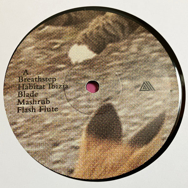 Devon Rexi Meets  John T. Gast : Breathstep (LP)