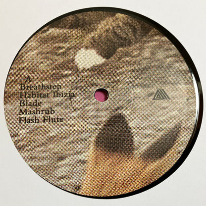 Devon Rexi Meets  John T. Gast : Breathstep (LP)