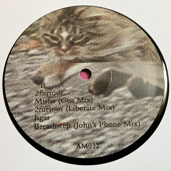 Devon Rexi Meets  John T. Gast : Breathstep (LP)