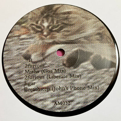 Devon Rexi Meets  John T. Gast : Breathstep (LP)