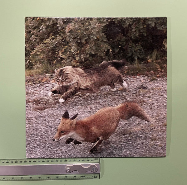 Devon Rexi Meets  John T. Gast : Breathstep (LP)