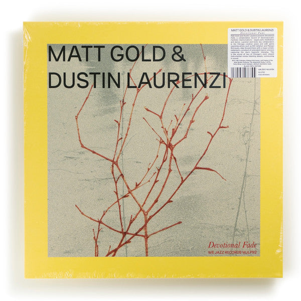 Matt Gold & Dustin Laurenzi : Devotional Fade (LP, Album)