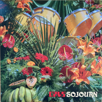 Cavs : Sojourn (LP, Album, Ora)