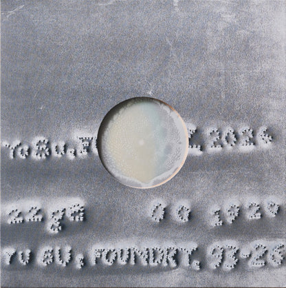 Yu Su : Foundry (LP, Album, Ora)