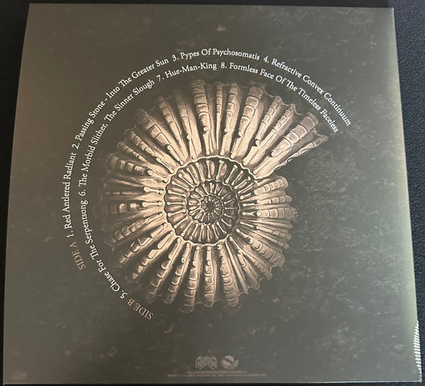 Stargazer (5) : A Great Work Of Ages / A Work Of Great Ages (LP, Album, Ltd, RE, Whi)