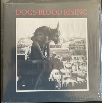 Current 93 : Dogs Blood Rising (LP, RE, RM)
