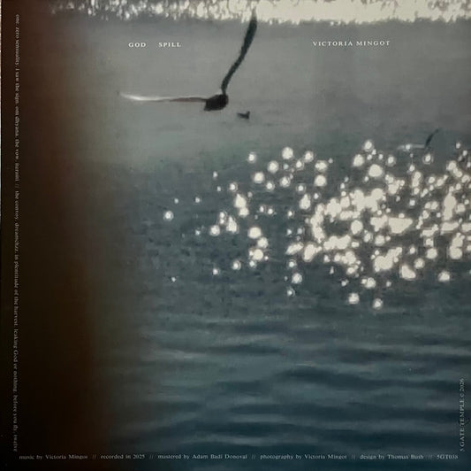 Victoria Mingot : God Spill (LP, Album)