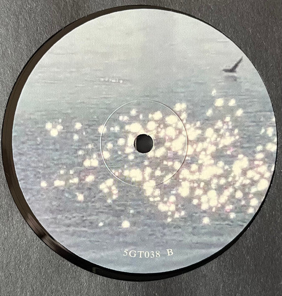 Victoria Mingot : God Spill (LP, Album)