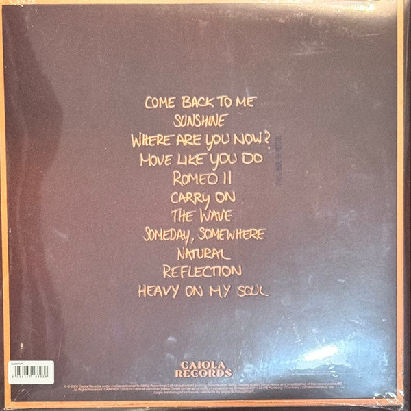 Jungle (12) : Sunshine (LP, Album)