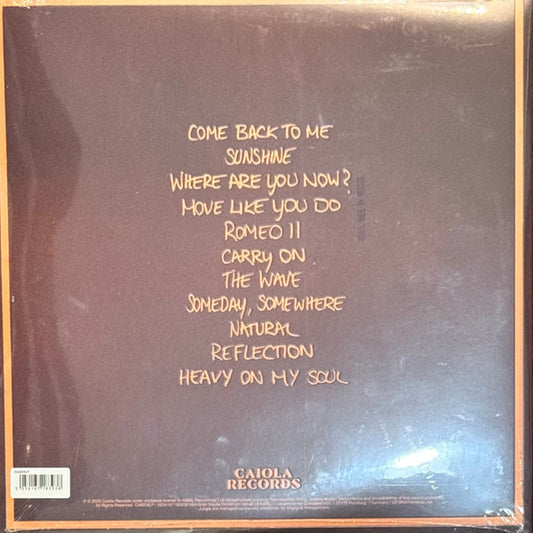Jungle (12) : Sunshine (LP, Album)
