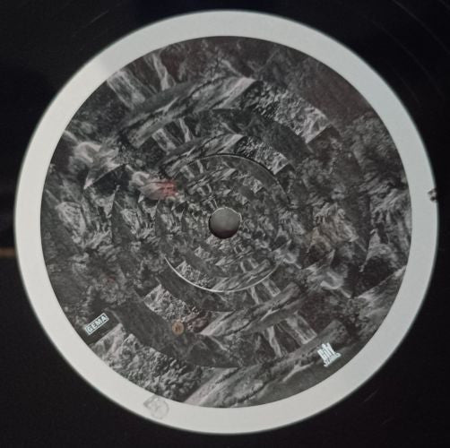 Lambchop : Punching The Clown (LP, Album)