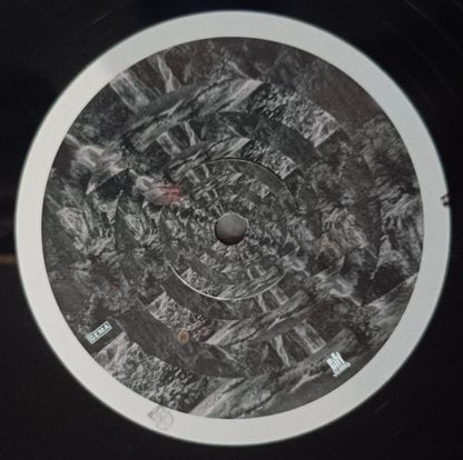 Lambchop : Punching The Clown (LP, Album)