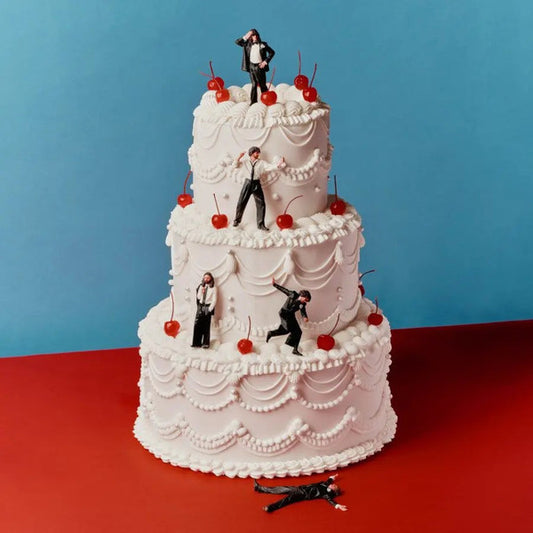 Blossoms : Songs From The Wedding Cake (LP, Album)