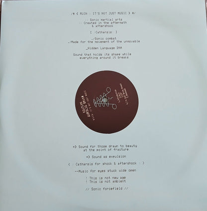 Kaitlyn Aurelia Smith : Ruin: It’s Not Just Music (LP, Album)