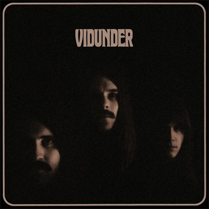 Vidunder : Vidunder (LP, Album)