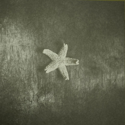The Church : Starfish (LP, Album, RE, 180)