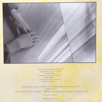 David Sylvian = デヴィッド・シルビアン* : Brilliant Trees (LP, Album)