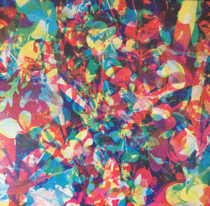 Caribou : Our Love (LP, Album, 180)